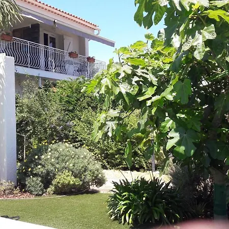 Citronnelle Apartment